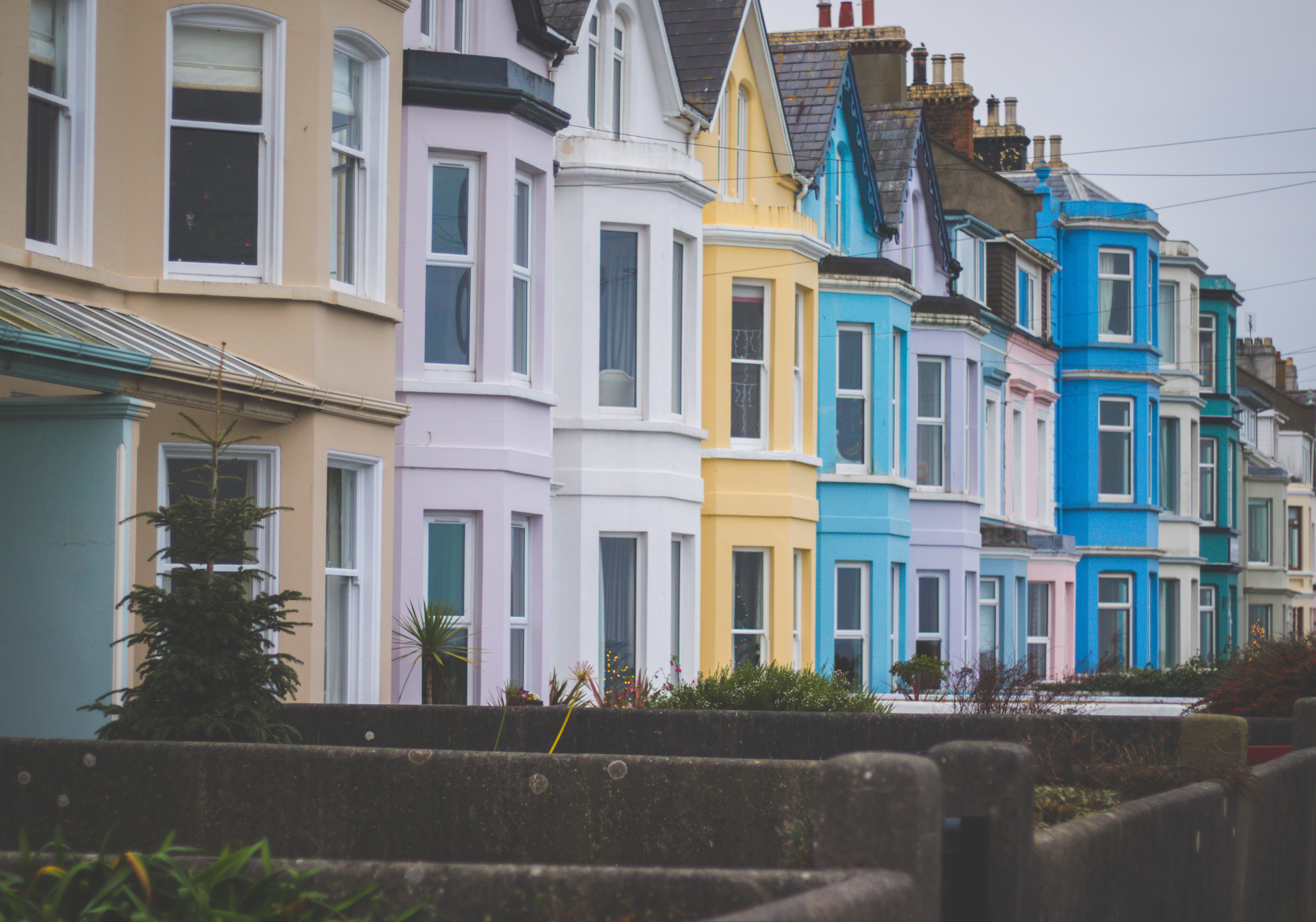 The UK Household Market – January 2024